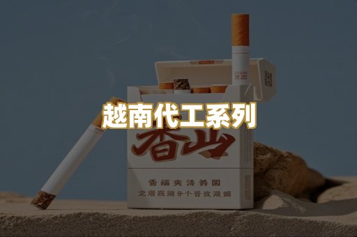越南代工系列